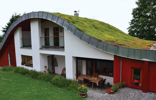 příklad realizace vegetační střechy na rodinném domě